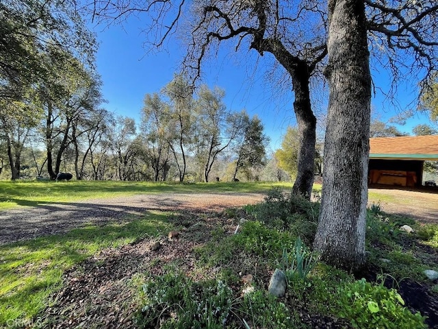 5857 Allred Rd, Mariposa, CA 95338 - photo 61