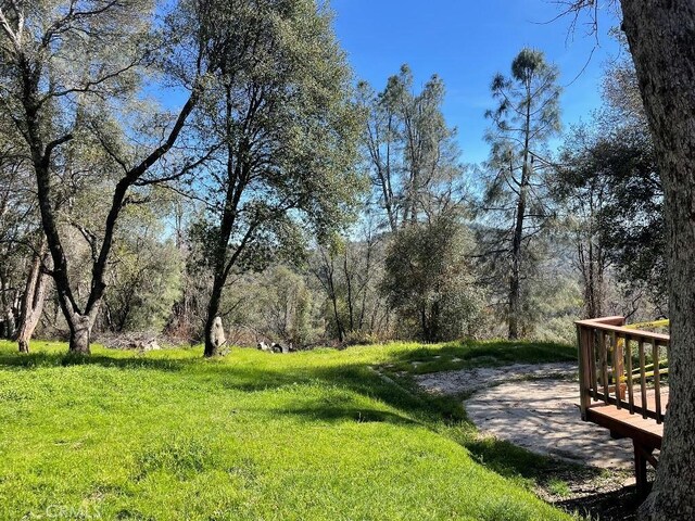 5857 Allred Rd, Mariposa, CA 95338 - photo 64
