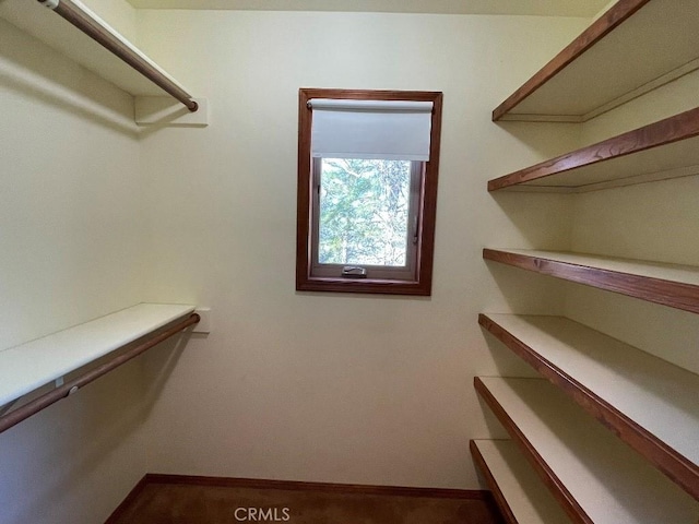 view of spacious closet