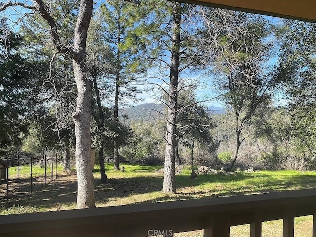 view of yard