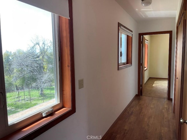 hall featuring dark wood finished floors