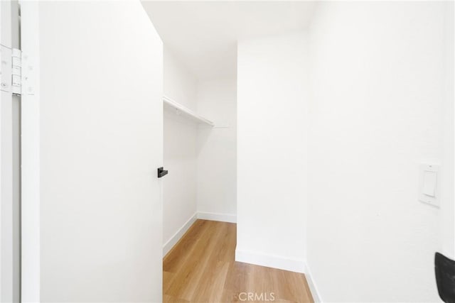 walk in closet featuring light wood finished floors