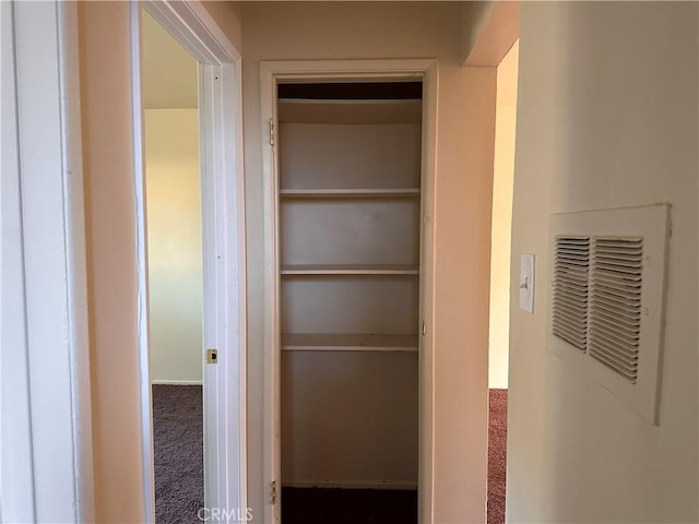 closet with visible vents