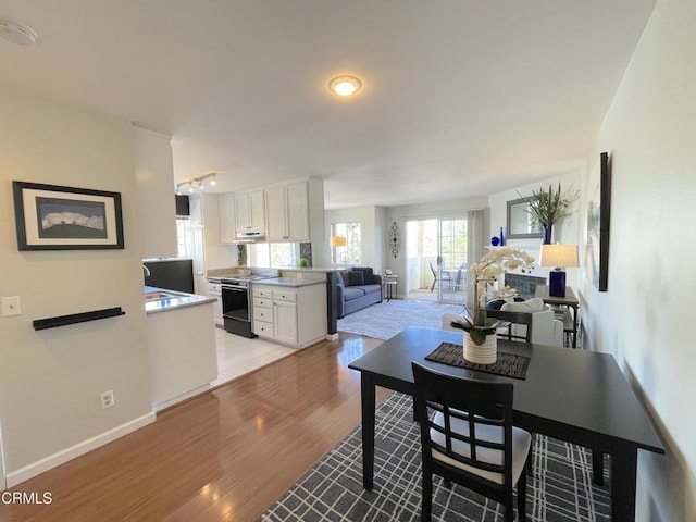 dining room with baseboards, rail lighting, and light wood-style floors