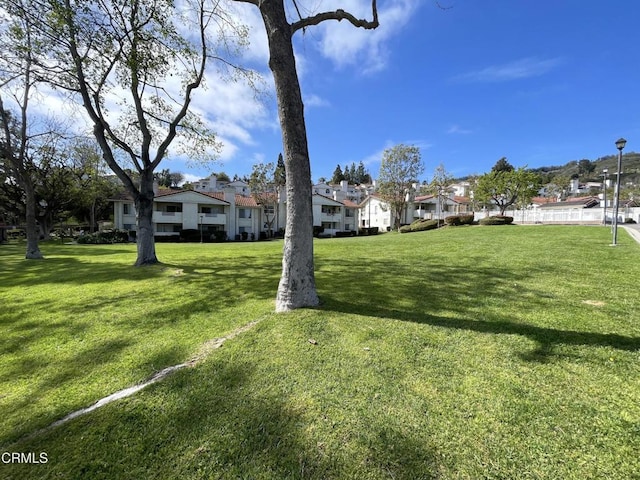 view of yard featuring a residential view