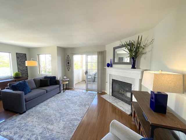 living room with baseboards, wood finished floors, and a fireplace