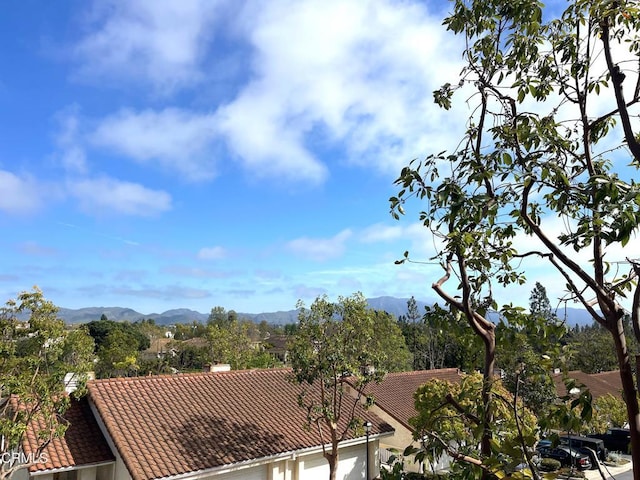 mountain view