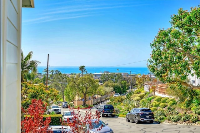 33762 Orilla Rd, Dana Point, CA 92629 - water view