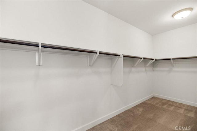 45600 Gresham, Temecula, CA 92592 - walk in closet with carpet