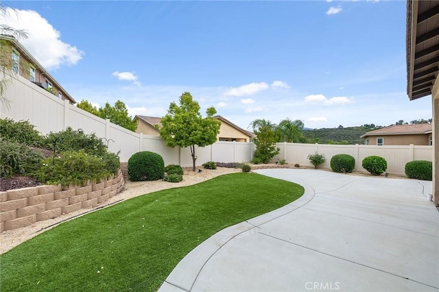 view of yard with a fenced backyard and a patio