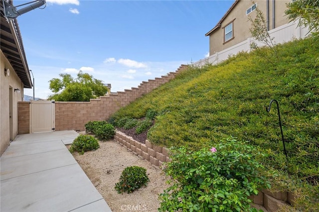 view of yard with a patio area and fence