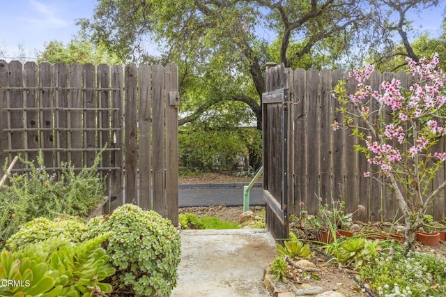308 Topa Topa Dr, Ojai, CA 93023 - view of yard