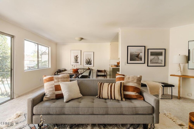 living room with baseboards, crown molding, and carpet floors