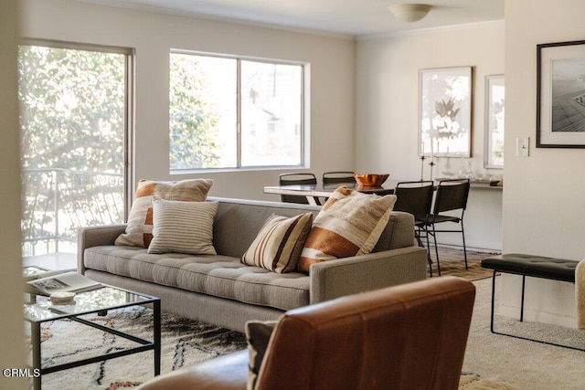 living area with crown molding