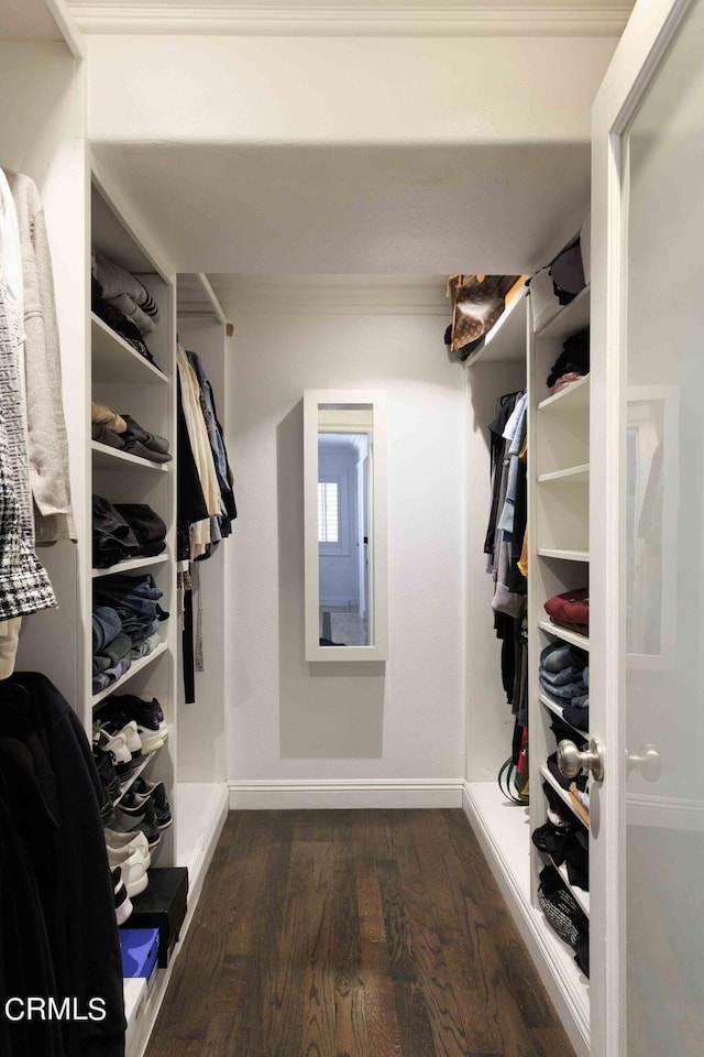walk in closet featuring wood finished floors