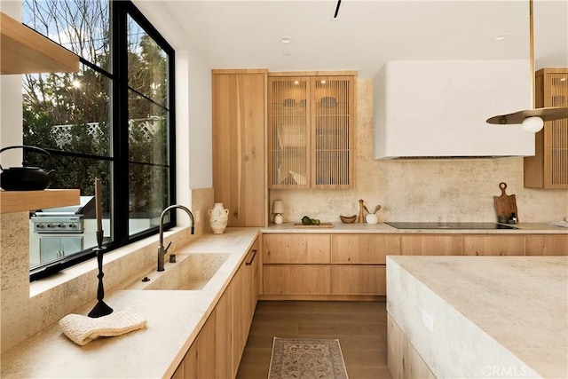 kitchen with dark wood-style flooring, extractor fan, black electric cooktop, tasteful backsplash, and a sink