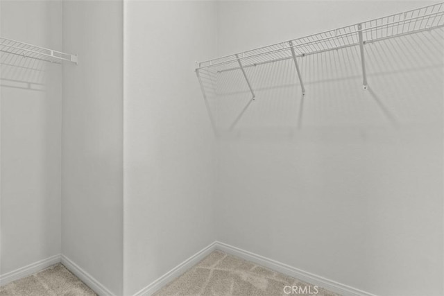 walk in closet featuring light colored carpet
