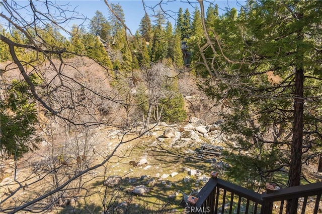 view of local wilderness