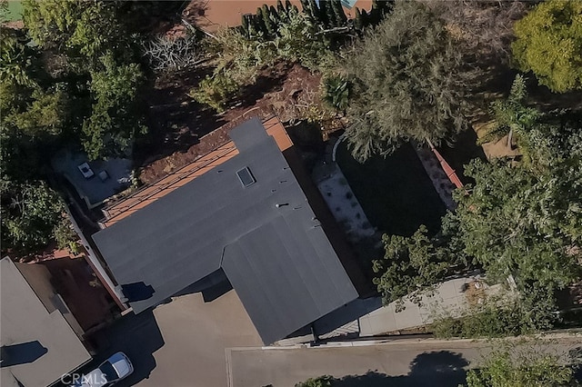 bird's eye view