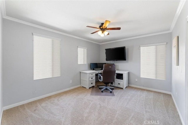 office featuring light colored carpet, a ceiling fan, and ornamental molding