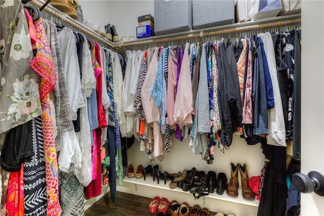 walk in closet featuring wood finished floors