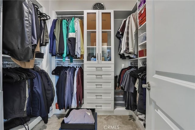 2454 Nova Way, Corona, CA 92883 - walk in closet with light carpet