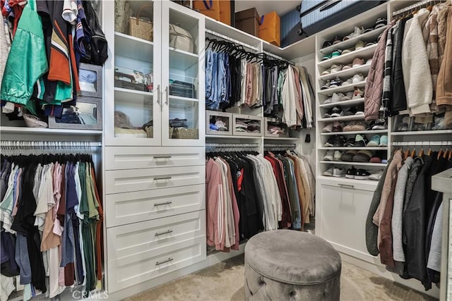 walk in closet featuring carpet floors