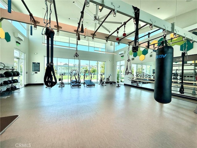 2454 Nova Way, Corona, CA 92883 - exercise room with a wall mounted AC and a towering ceiling