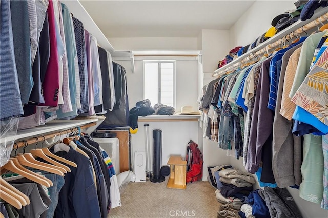 walk in closet featuring carpet floors