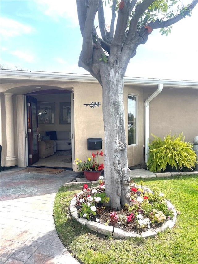view of exterior entry featuring stucco siding