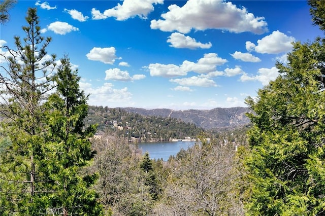 view of water feature with a view of trees and a mountain view