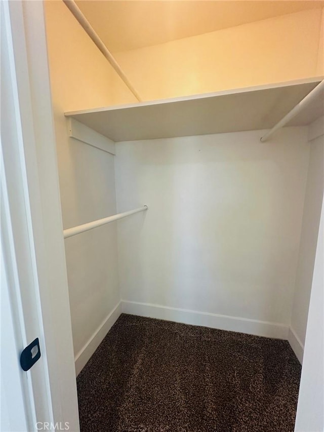 walk in closet featuring dark carpet
