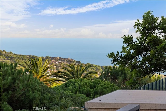 9 Shoreridge, Newport Coast, CA 92657 - property view of water featuring fence