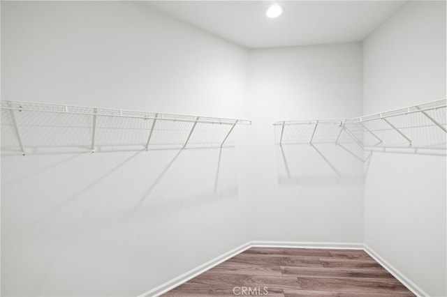 1373 Topanga Dr, San Marcos, CA 92069 - walk in closet featuring dark wood-style floors