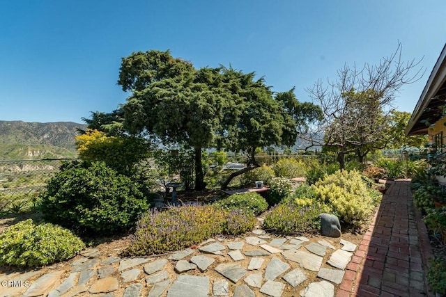 view of yard featuring a mountain view and fence