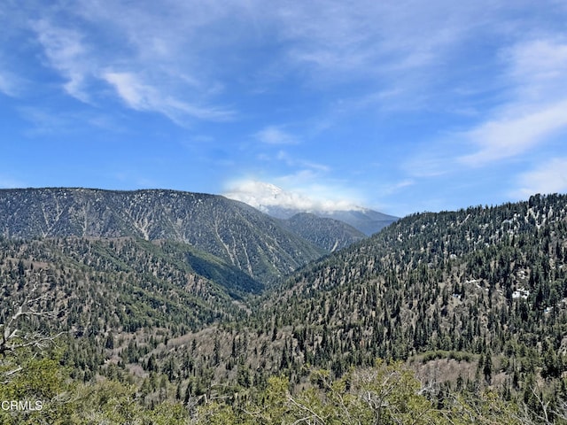 42791 Ursa Major Way, Big Bear Lake, CA 92315 - photo 34