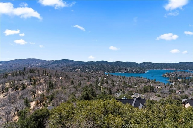 29083 Mammoth Dr, Lake Arrowhead, CA 92352 - mountain view with a large body of water