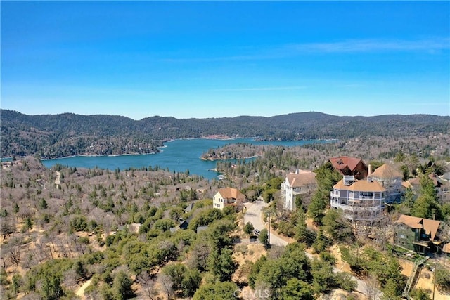 29083 Mammoth Dr, Lake Arrowhead, CA 92352 - drone / aerial view of a forest and a water and mountain view