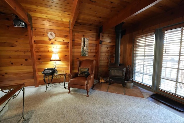206 Cedar Ln, Sugarloaf, CA 92386 - sitting room with a wood stove, wooden walls, and a healthy amount of sunlight