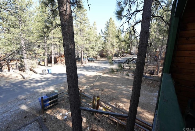 206 Cedar Ln, Sugarloaf, CA 92386 - exterior space