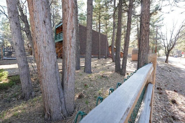 206 Cedar Ln, Sugarloaf, CA 92386 - view of yard