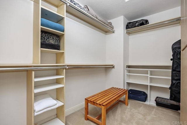 7189 Aviara Dr, Carlsbad, CA 92011 - walk in closet with carpet
