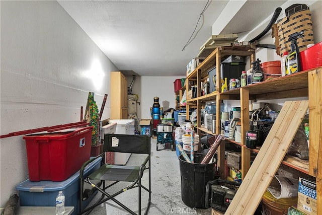 9153 Ravenswood Ave, Hesperia, CA 92344 - view of storage