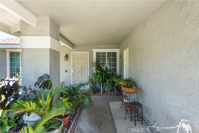 doorway to property with stucco siding