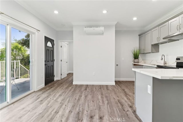 334 Anita Dr, Pasadena, CA 91105 - kitchen with a wall mounted air conditioner, light countertops, a sink, under cabinet range hood, and light wood-type flooring