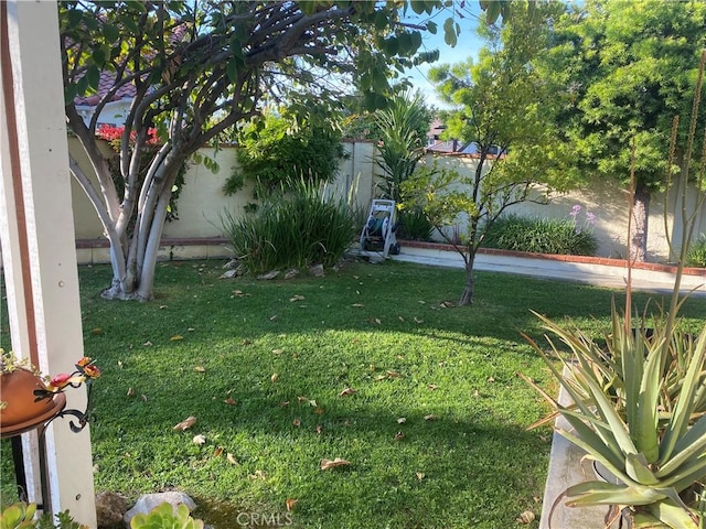 view of yard featuring a fenced backyard