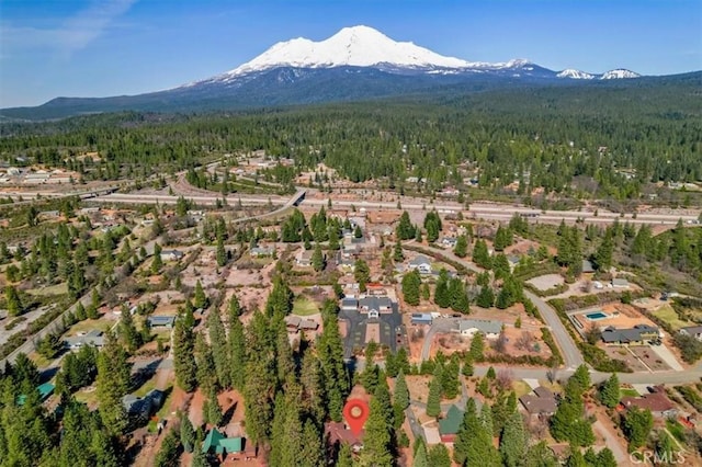 2605 Fryers Way, Mount Shasta, CA 96067 - aerial view of property's location featuring a forest and mountains