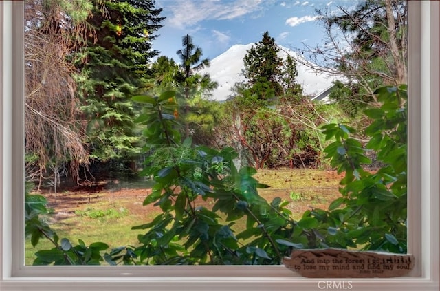 2605 Fryers Way, Mount Shasta, CA 96067 - view of yard
