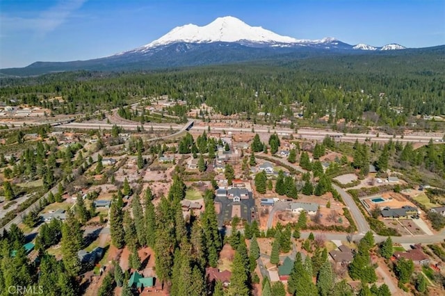 birds eye view of property featuring a wooded view and a mountain view
