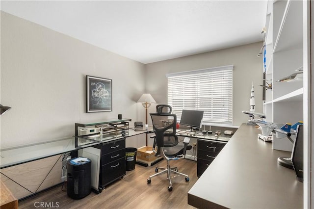 office featuring wood finished floors